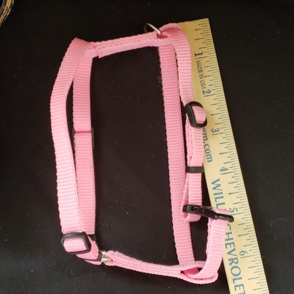 Harness and leash - Picture 3 of 4